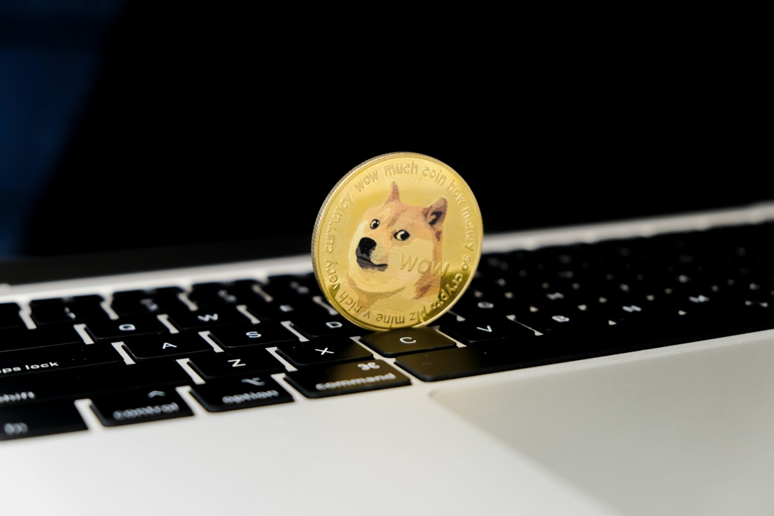 Doge Software Licenses Audit HUD: Why Software Compliance Is Suddenly a Big Deal for Modern Businesses doge software licenses audit hud